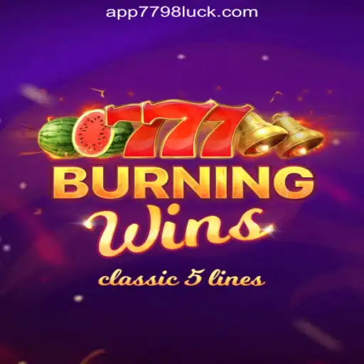 Exploring the Classic Charm of BurningWins and Its Place in Brazilian Gaming